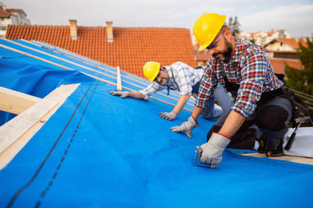 Best Storm Damage Roof Repair  in Santa Teresa, NM